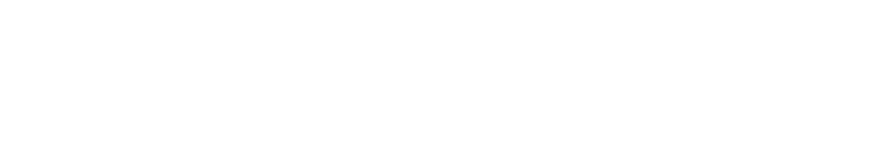 SWISSVIVO Financial Consulting
